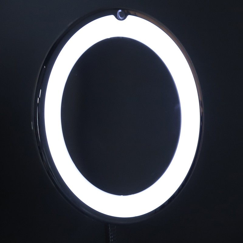 Magnifying Mirror 10X Magnification LED Fill Light Suction Cup Adjustable