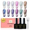 YSUVIN UV Nail Polish Magnetic 6 Colours Pink Purple Blue