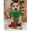 Midlee Gingerbread Man Rope Dog Toy