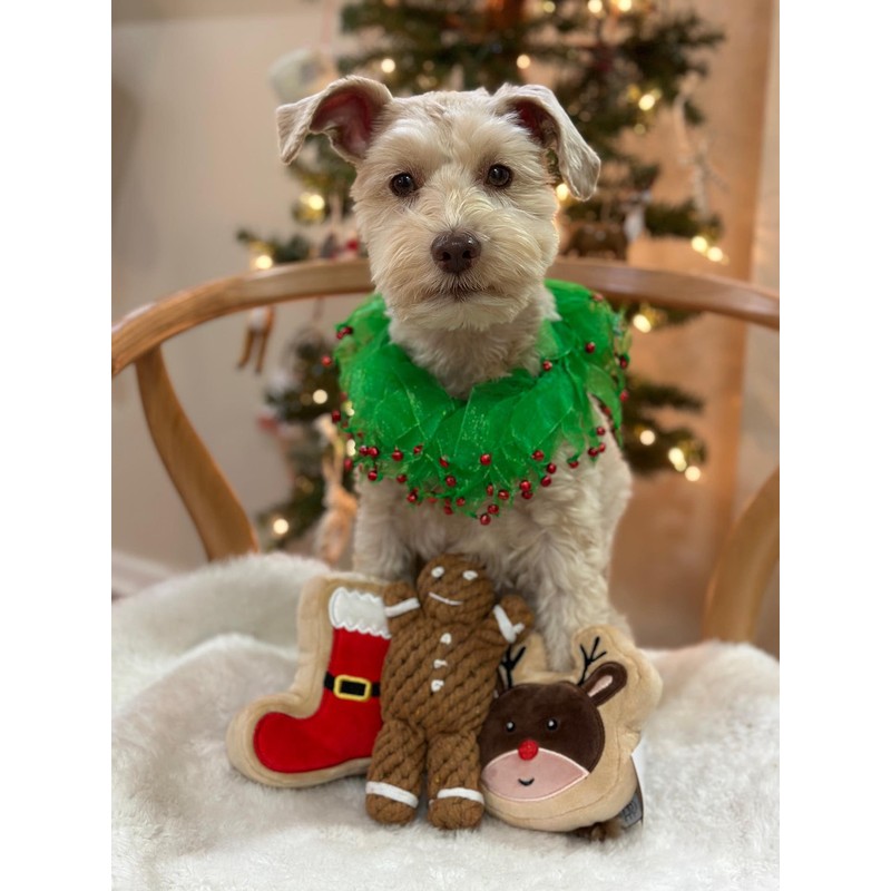 Midlee Gingerbread Man Rope Dog Toy