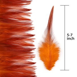 Feathers for Crafting,240pcs 5-7inch Orange Craft Rooster Feathers,Saddle Hackle Feather,Bulk Feathers for Wedding Home Party,Dream Catcher Supplies and DIY Crafts