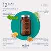 N°12 ANTIFLAMM - Anti-inflammatory & Joint Health with Boswellia Serrata