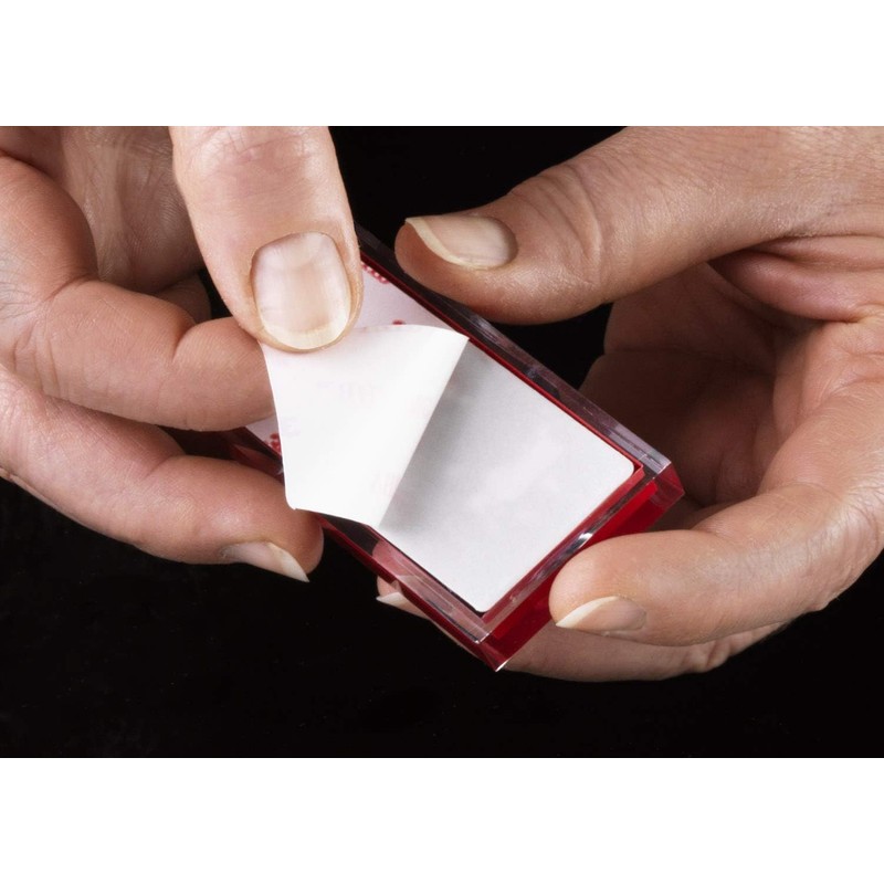 Gedy Rainbow Transparent Thermoplastic Resin Coat Hangers - Red Double