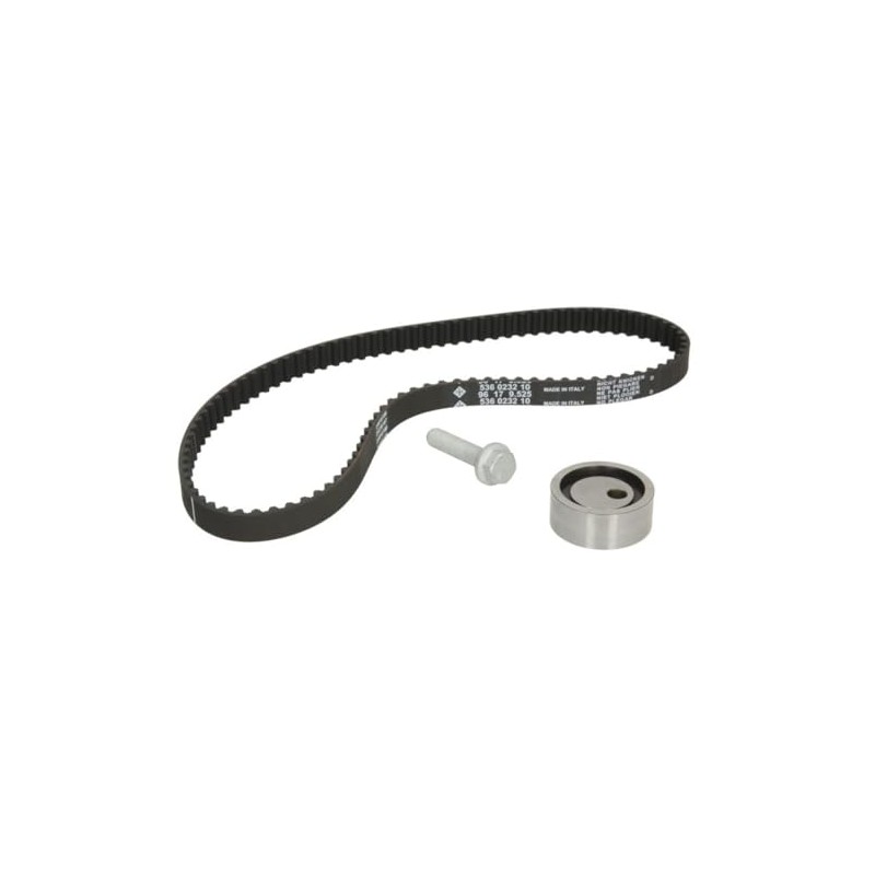 INA 530 0490 10 Timing Belt Set