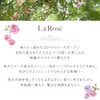 House of Rose La Rose Shampoo, RG, 8.5 fl oz