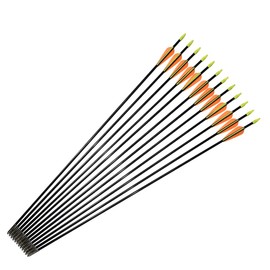 Fiberglass Arrows Archery 26 Inch Target Shooting Practice Safetyglass Recurve Bows Suitable for Youth Children Woman Beginner 6 PCS