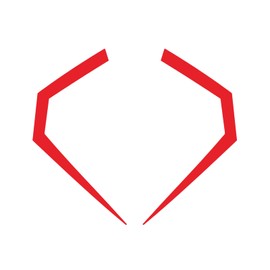 CBR Motorcycle Fairing Sticker Decal, Reflective Vinyl Decal with Strong Stickiness Compatible with Honda CBR1000RR-2017-2026 (Red)