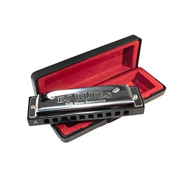 BJ Blues 281520 Folk Blues 10-Hole Diatonic Harmonica,Silver