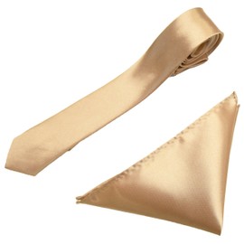 Caprilite Mens Neck Tie and Pocket Square Handkerchief Set Hanky Wedding Skinny Champage Gold