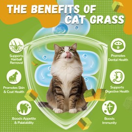 Cat Grass Treats for Indoor Cats, 60g Freeze-Dried Cat Grass & Egg Yolk Treats - Feline Grass Treаts for Hairball Control and Healthy Coat, Chicken Flavor