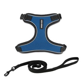 Voyager Escape Proof Cat Harness and Leash Set with Reflective Stitching, Neoprene Handle 5ft - Supports Small, Medium and Large Cats, Kittens for Walking by Best Pet Supplies - BT-Royal Blue, XS