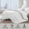 Royal Luxe Luxury White Goose Down Fiber Comforter - 100%