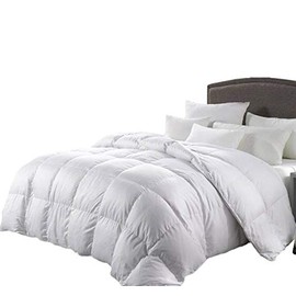 Luxurious Twin/Twin XL Size 1500 Thread Count Goose Down Alternative Comforter, 100 Percent Egyptian Cotton, 1500 TC, 750FP, 50Oz, Solid White Down Alt Comforter