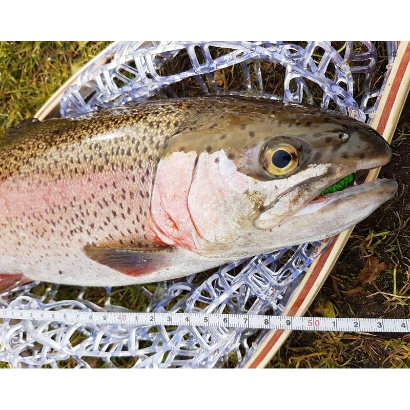 Realistic Fly Fishing……