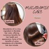 Bendida Permanent Hair Colour, Nourishing Colour Cream with Macadamia Oil,