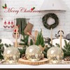 Crackle Globe LED Lamp Battery Operated with Timer, Lighted Glass