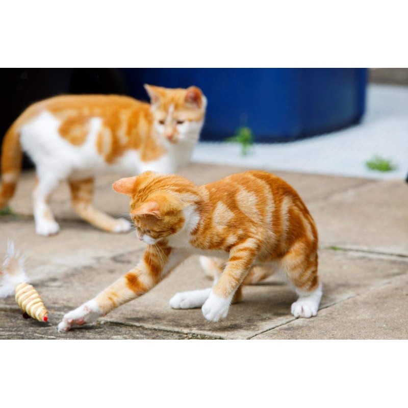 Catkins by Petface Sisal Mouse Cat Toy