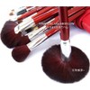 STZ-2402 Makeup Brush Set with Brush Storage Case, 24 Brush