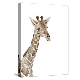 ART.COM Stretched Canvas Print Safari Animal Portraits II by Melissa Wang, 12" x 16"