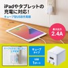 Sanwa Supply ACA-IP79W Cube USB Charger (2.4A, White)