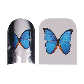 Cesars Nail App 52 Hot (24 Finger)