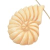 PremiumBead Nautilus Bone Bead | 35x21x4mm | 1 Bead |