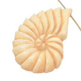 PremiumBead Nautilus Bone Bead | 35x21x4mm | 1 Bead |