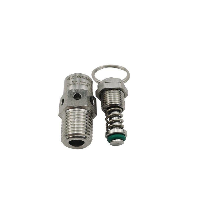 HEZONGSION 1/4" NPT Male Pressure Relief Valve,170psi Set Pressure,Stainless Steel