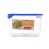 CURVER 2045137 Fresh & Go 3 Litres Cool Box Plastic