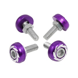A ABSOPRO Purple Silver Tone License Plate Bolts Screws Car Ornament 4 Pcs Item Replacement