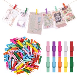 Xinzistar 100pcs Coloured Mini Pegs for Photos, Small Wooden Pegs for Photos Crafts, Colourful Tiny Photo Pegs for Arts & Crafting Wall Hanging Weddings Parties