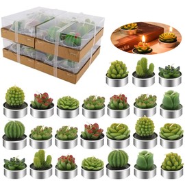 24 Velas de Cactus,Velas de Suculentas,Juego velas suculentas con caja de regalo cinta para Fiestas, Decoración del Hogar, Cumpleaños, Bodas