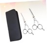 Healvian Stainless Steel Hairdressing Scissors Set 2pcs Flat Teeth Shears