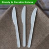 GreenWorks GreenWorks Compostable Knives,100 Count 7" Heavyweight Disposable Biobased Cutlery