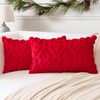 Artscope Pack of 2 Soft Plush Short Wool Velvet Decorative