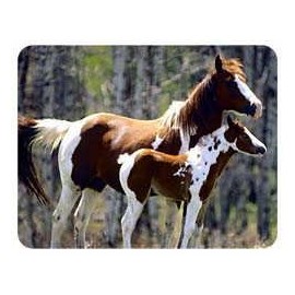 Lumalack Paint Horse Coasters