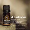 Aceite Esencial Thieves (4 Ladrones) PACALLI · Clavo, Canela, Limón,
