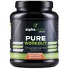 Pure Intra Workout Shake - Cluster Dextrin + EAA +