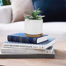 Hopewood Succulent Plants Artificial - Faux Agave Succulent Plant in Ceramic Pots with Bamboo Tray for Office Desk Living Room Decor(5.9inch)