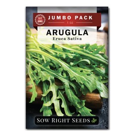 Sow Right Seeds - Bulk Arugula Seeds for Planting - 1 Ounce, 14000 Seeds - Non-GMO Heirloom Jumbo Pack with Instructions to Plant a Home Vegetable Garden - Grow Loads of Hydroponic Rocket Salad Greens
