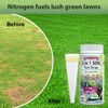 PH and Nitrogen Soil Test Kit with Test Tube -