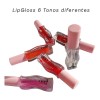 Brillo Labial Hidratante Favorbeauty 6pcs En Tonos Distintos