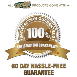 Dual Speed Battery Operated Nail File