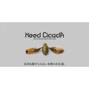 JACKALL Need Cicader, Super White
