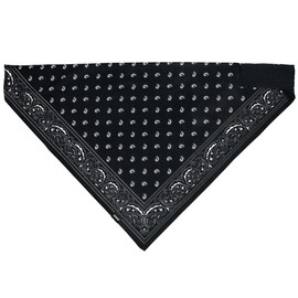 ZANheadgear® Bandanna SportFlex® Series Face Cover Face Guard Neck Guard Neck Warmer Motorcycle, black paisley, Free size