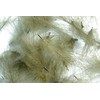 Hareline Dubbin Fishing Hook - 1/0, CDC (Cul de Canard)