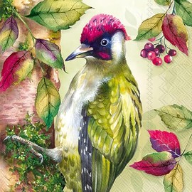 IHR Ideal Home Range Party Napkins Disposable 3-Ply Paper Lunch Napkin Pack, 6.5" x 6.5", Woody, 20-Count