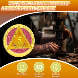 YRCKUDZKG Pink Triangle 5 Month Sobriety Coin Five Month Sober Gold Coin Rainbow Sobriety Chip AA Chips and Medallion AA Coin Recovery Chip Sobriety Token Sobriety Gifts for Women Men