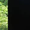 VSUDO 1 Roll 17.7" by 78.7" Static Cling Blackout Window