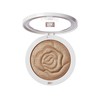 RK All Over Glow Highlighting Powder 4g / 0.14oz (Golden